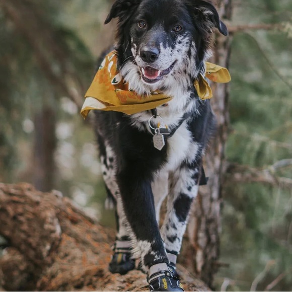 Qumy Large Breed dog shoes water resistant snow ice hiking size 1 blue - Picture 6 of 7